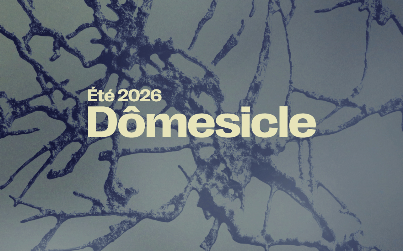 Dômesicle — Lars Huismann (DE) • Esther Côté b2b newfriend at SAT